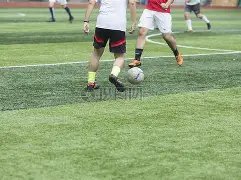 山西汾酒击,败广东东阳,开云体育,开云体育,开云体育官网,开云体育app,开云体育app下载