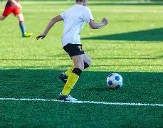 上海海港瞄,准比甲豪门,边锋特奥邦,开云体育,开云体育官网,开云体育app,开云体育app下载